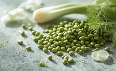 Fennel Sweet Essential Oil